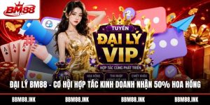 Đại Lý BM88