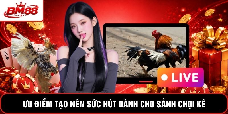Ưu điểm tạo nên sức hút dành cho sảnh chọi kê